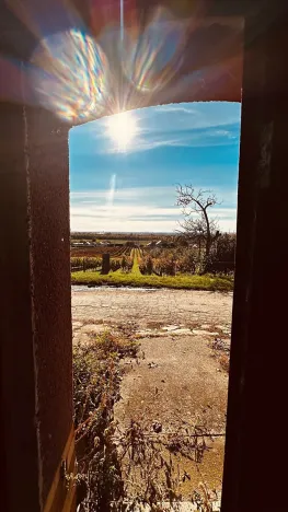 Prodej vinného sklepa, Velké Bílovice, 100 m2