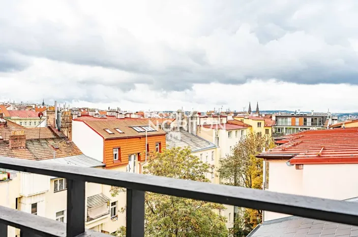 Pronájem bytu 5+1, Praha - Vinohrady, Mánesova, 220 m2