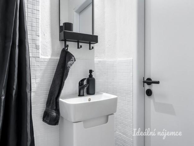 Pronájem bytu 1+kk, Praha - Nusle, Petra Rezka, 23 m2