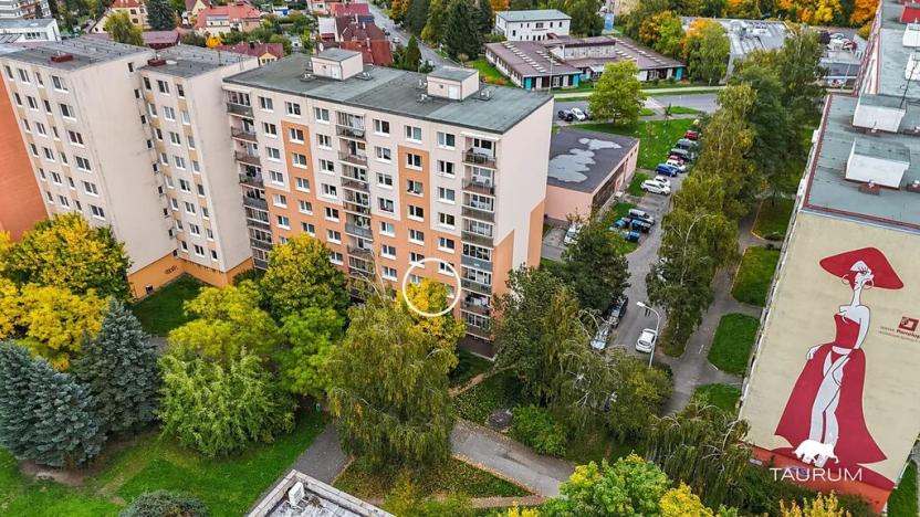 Prodej bytu 1+1, Plzeň, Komenského, 36 m2