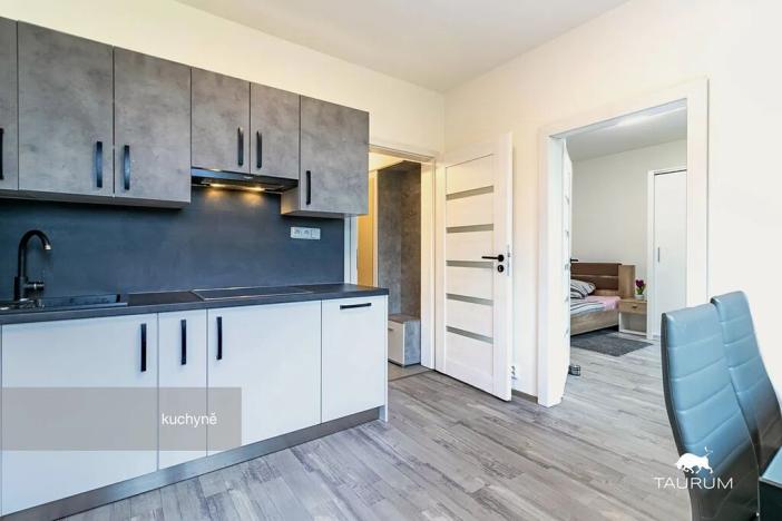 Prodej bytu 1+1, Plzeň, Komenského, 36 m2