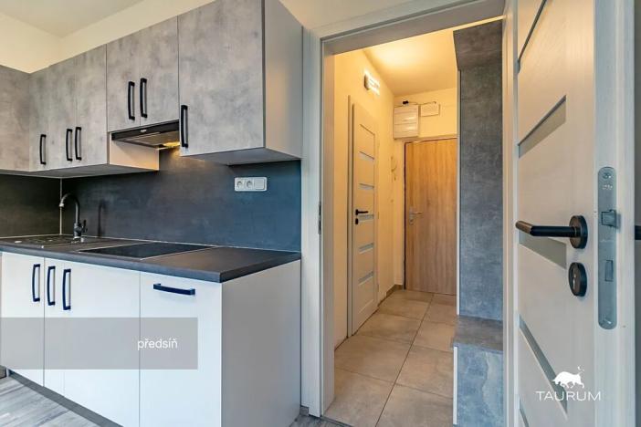 Prodej bytu 1+1, Plzeň, Komenského, 36 m2