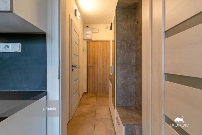 Prodej bytu 1+1, Plzeň, Komenského, 36 m2