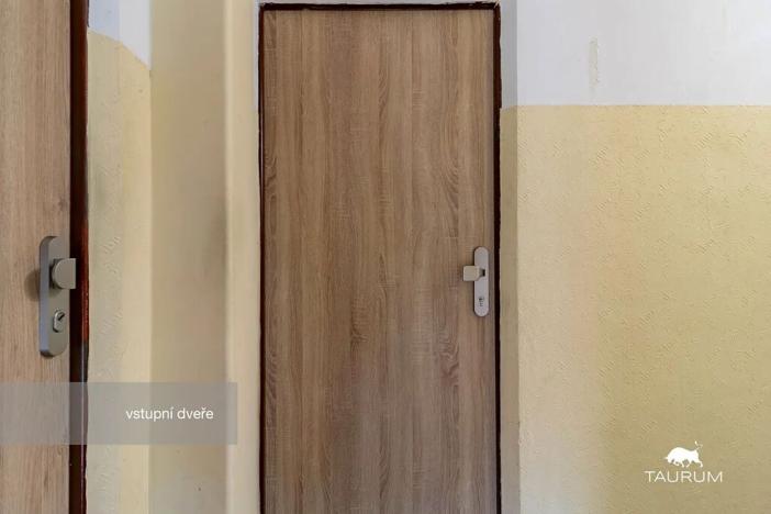 Prodej bytu 1+1, Plzeň, Komenského, 36 m2