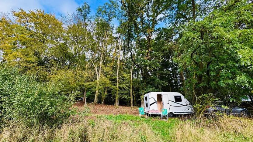 Prodej lesa, Postupice, 1363 m2