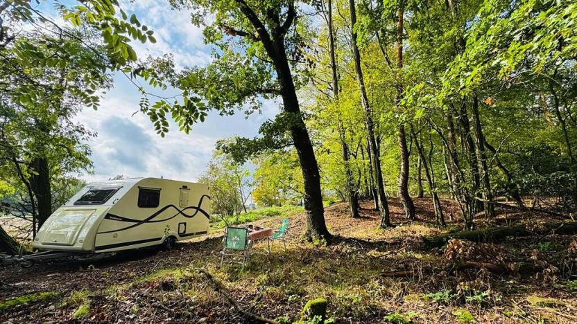 Prodej lesa, Postupice, 893 m2