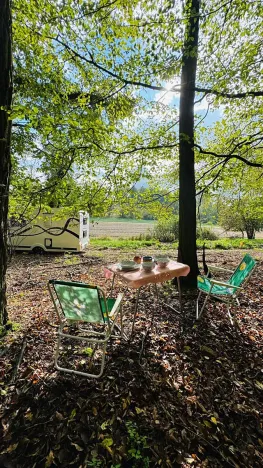 Prodej lesa, Postupice, 893 m2