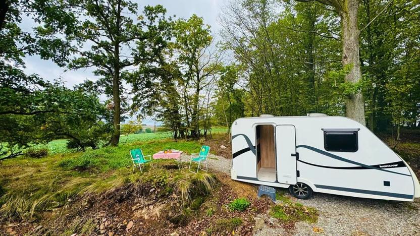 Prodej lesa, Postupice, 470 m2