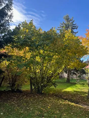 Prodej zemědělské usedlosti, Nučice, 135 m2