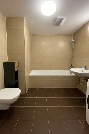 Pronájem bytu 1+kk, Praha - Žižkov, 39 m2