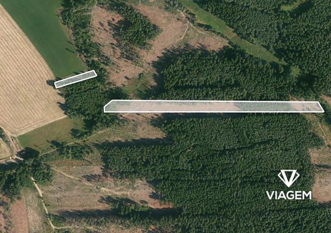 Prodej lesa, Chrbonín, 21469 m2