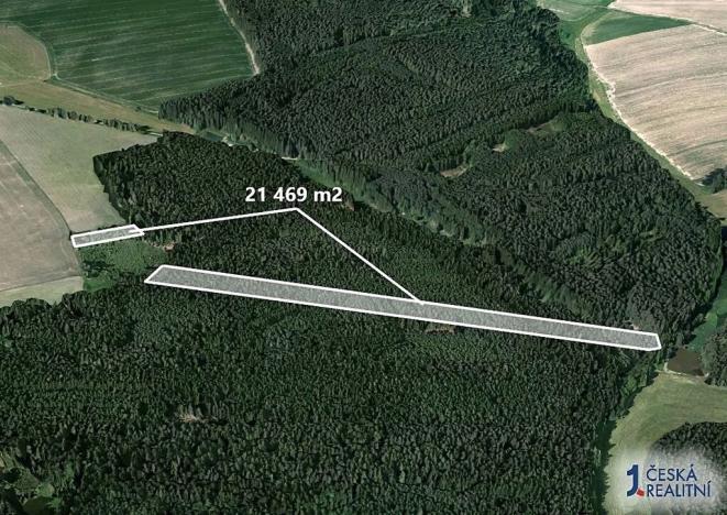 Prodej lesa, Chrbonín, 21469 m2