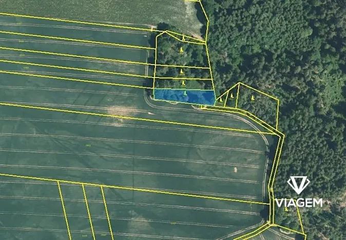 Prodej lesa, Šípy, 1093 m2