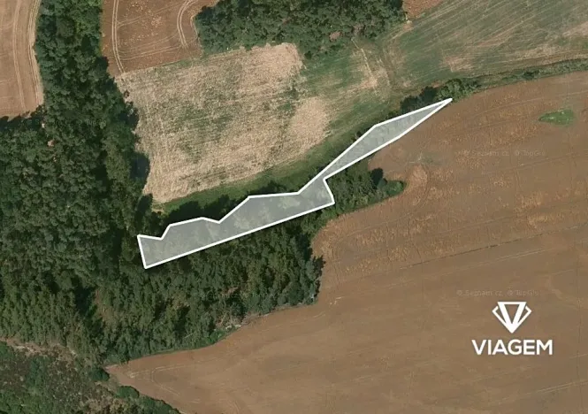 Prodej lesa, Šípy, 2437 m2