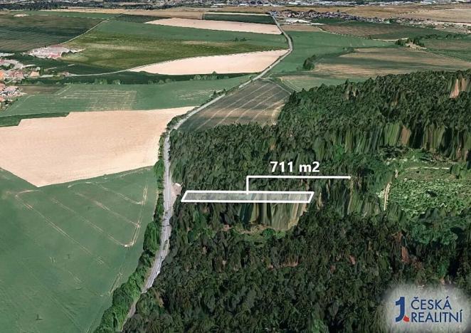 Prodej lesa, Petrůvky, 711 m2