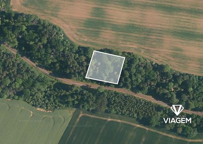 Prodej lesa, Katusice, 2456 m2