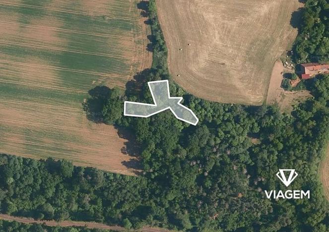 Prodej lesa, Katusice, 1936 m2