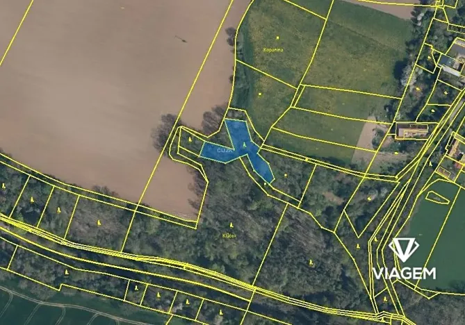 Prodej lesa, Katusice, 1936 m2