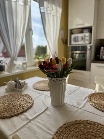 Prodej bytu 3+1, Tábor, Družstevní, 86 m2