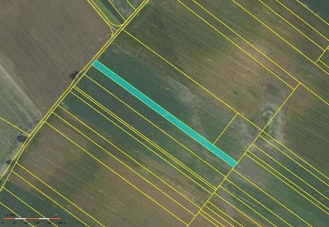 Prodej pole, Velké Bílovice, 3524 m2