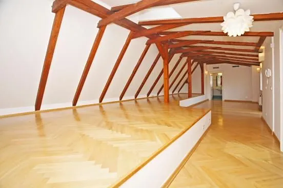 Pronájem bytu 5+1, Praha - Malá Strana, Újezd, 286 m2