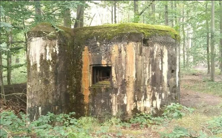 Prodej - jiné, Dubá, 21 m2