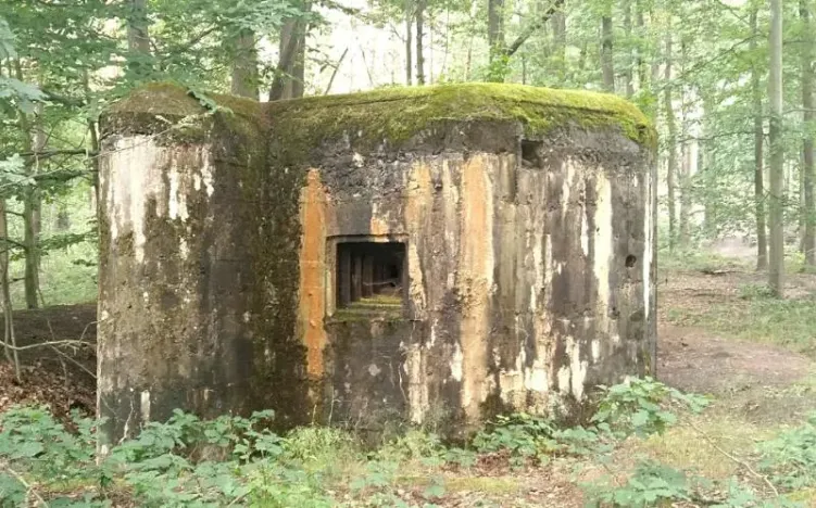 Prodej - jiné, Dubá, 22 m2