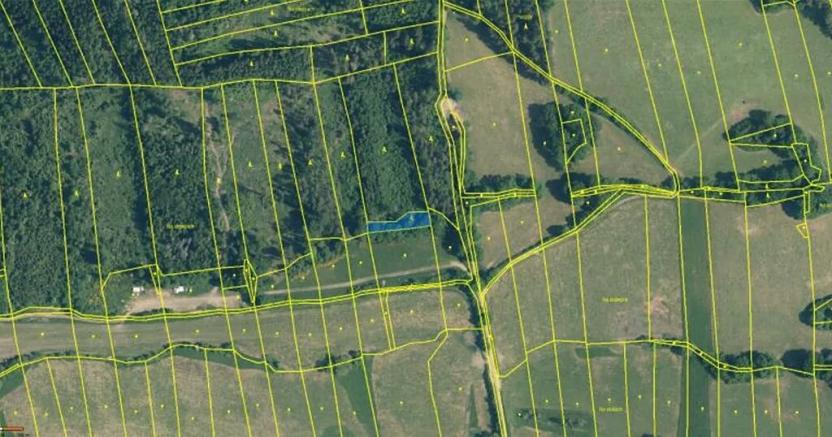 Prodej lesa, Neurazy, 727 m2