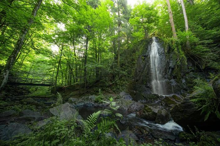 Prodej domu, Nové Hrady, 880 m2