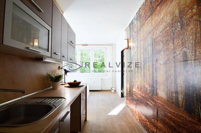 Prodej bytu 1+1, České Budějovice, Kubatova, 50 m2