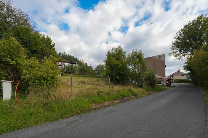 Prodej pozemku pro bydlení, Železný Brod, 764 m2