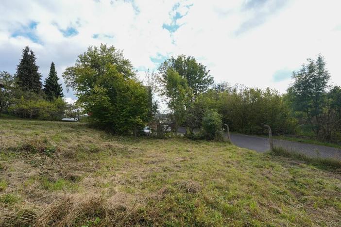 Prodej pozemku pro bydlení, Železný Brod, 764 m2