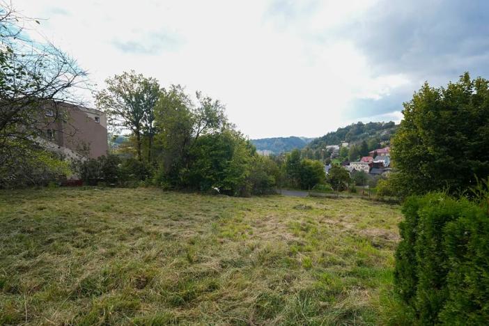 Prodej pozemku pro bydlení, Železný Brod, 764 m2