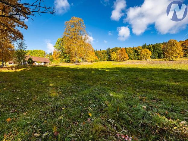 Prodej louky, Stožec, 6572 m2