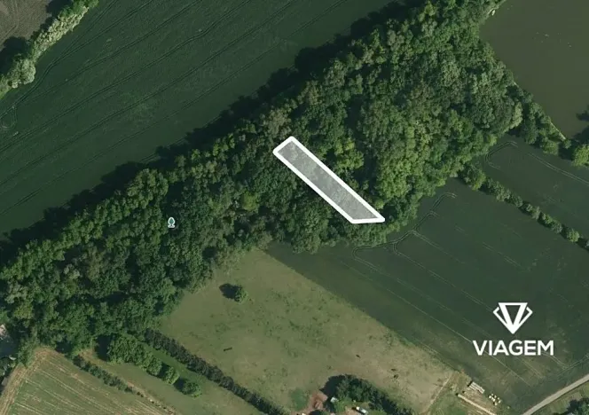 Prodej podílu lesa, Telnice, 462 m2