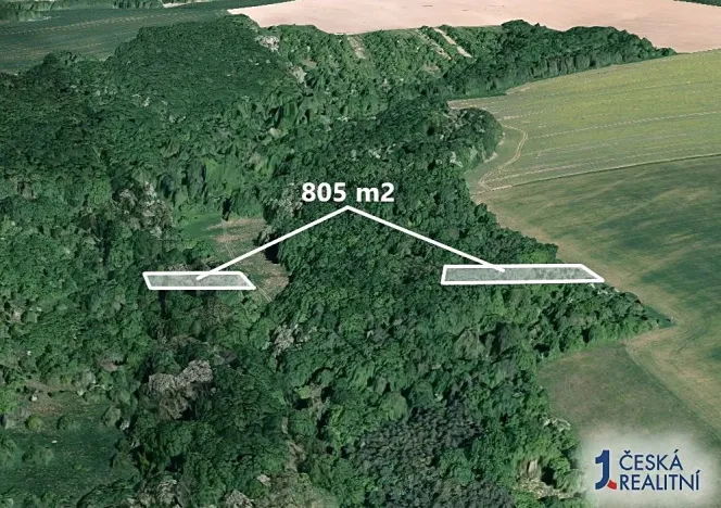 Prodej lesa, Hradčovice, 805 m2