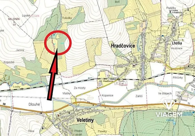 Prodej lesa, Hradčovice, 805 m2