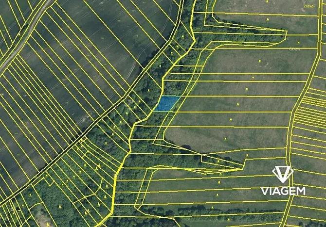 Prodej lesa, Zlámanec, 663 m2