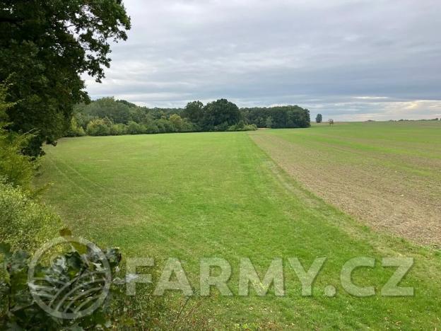 Prodej podílu pole, Dolní Roveň, 62359 m2