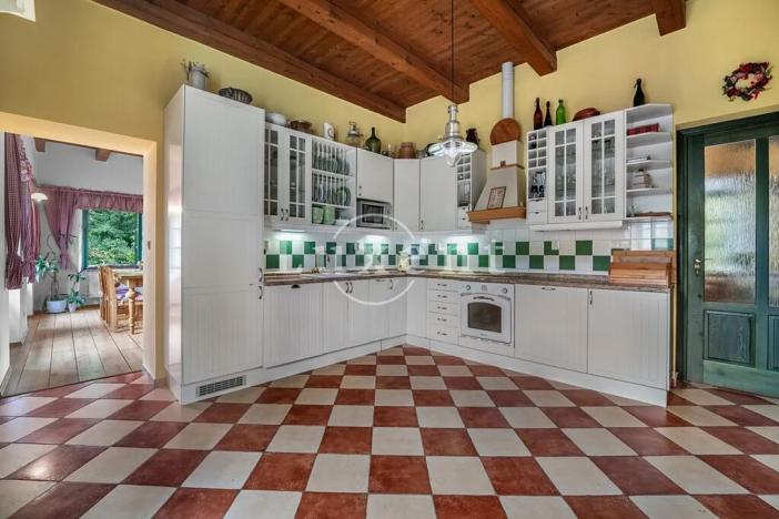 Prodej komerční nemovitosti, Stříbrná Skalice, 1700 m2