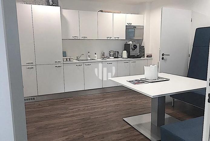 Pronájem kanceláře, Praha - Nusle, Doudlebská, 250 m2