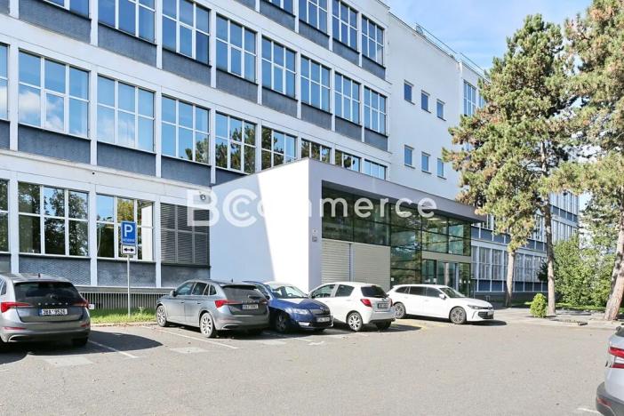 Pronájem kanceláře, Brno, Purkyňova, 700 m2