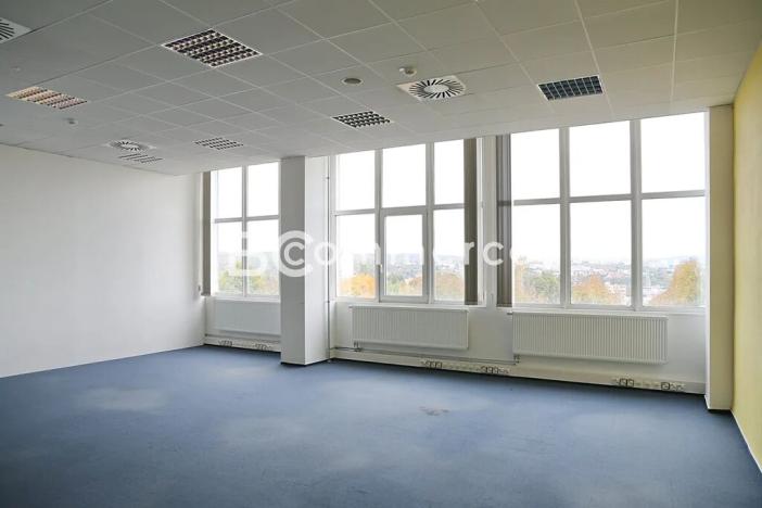 Pronájem kanceláře, Brno, Purkyňova, 700 m2