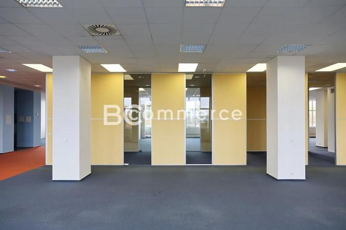 Pronájem kanceláře, Brno, Purkyňova, 700 m2
