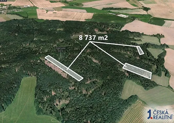 Prodej podílu lesa, Všepadly, 1092 m2