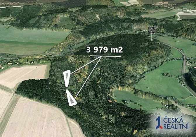 Prodej podílu lesa, Sudislav nad Orlicí, 2486 m2