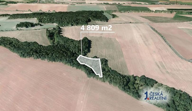 Prodej podílu lesa, Pozdeň, 2404 m2