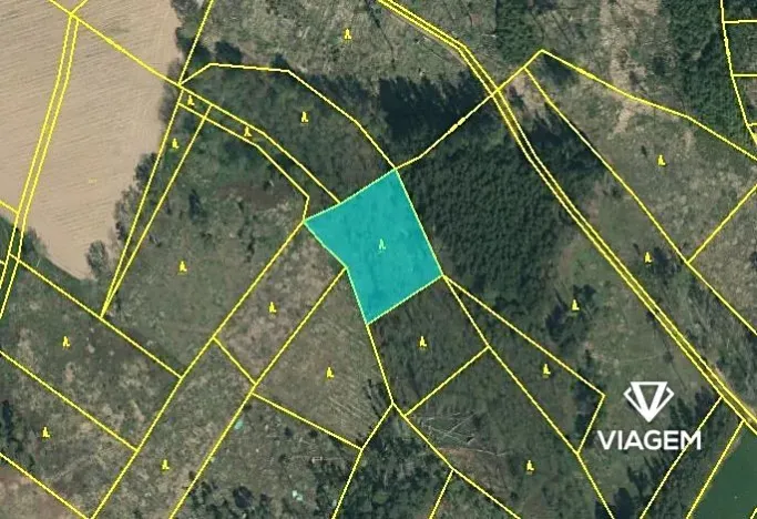 Prodej podílu lesa, Chýstovice, 669 m2