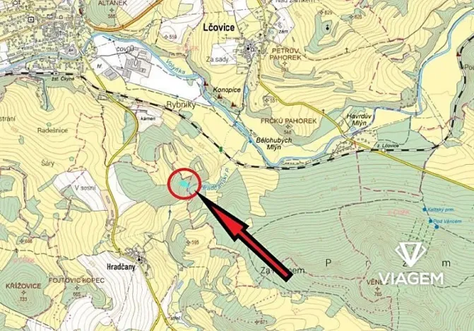 Prodej podílu lesa, Bošice, 1711 m2