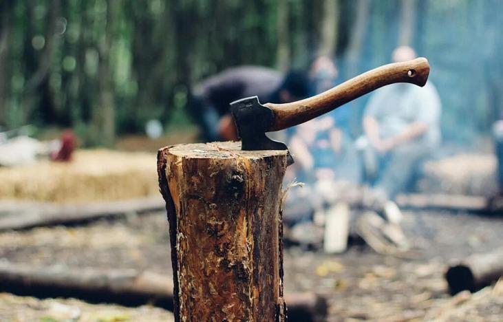 Prodej podílu lesa, Tichá, 6435 m2